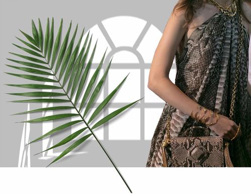 女星同款竟顯胖，胖太太服飾為何持續走紅？